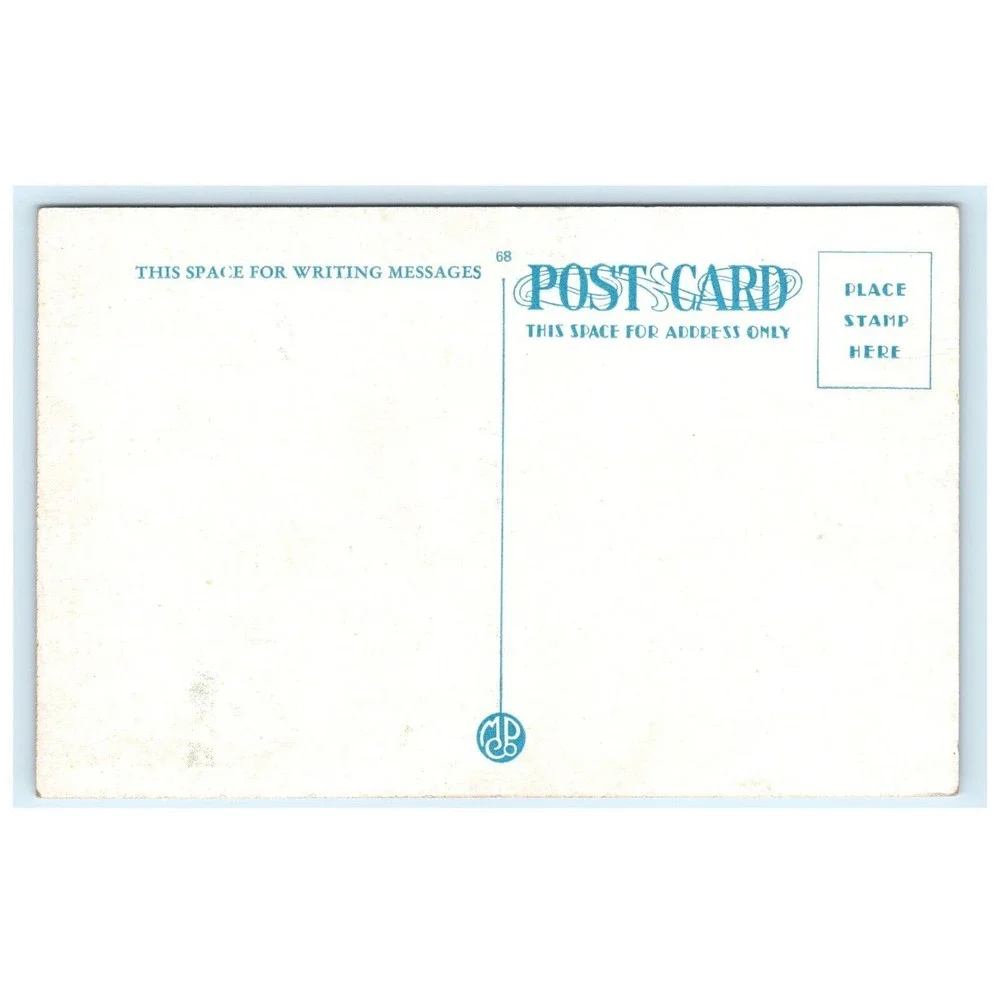 American Vintage vtg postcard